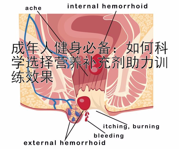 成年人健身必备：如何科学选择营养补充剂助力训练效果