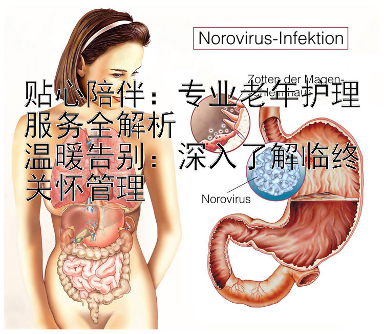 贴心陪伴：专业老年护理服务全解析  